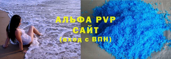 СК Алексин