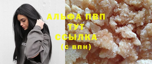 СК Алексин