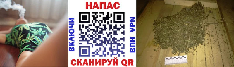 где можно купить наркотик  нарко площадка клад  Канабис White Widow  Саянск 